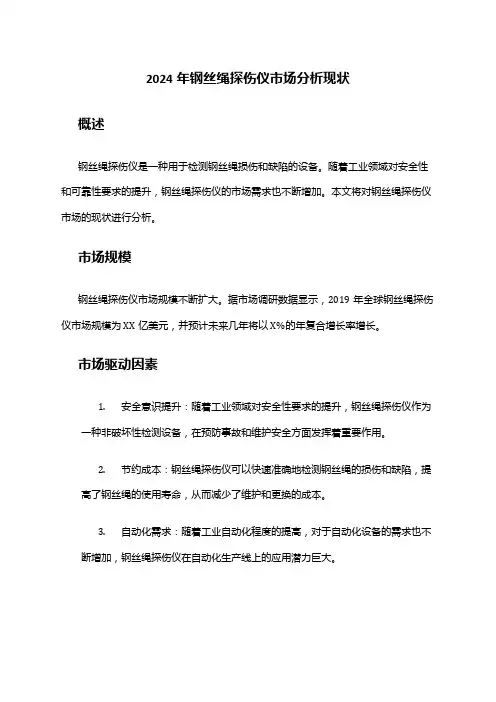 2024年钢丝绳探伤仪市场分析现状