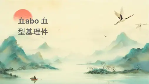 临床输血检验之ABO血型基础理论护理课件