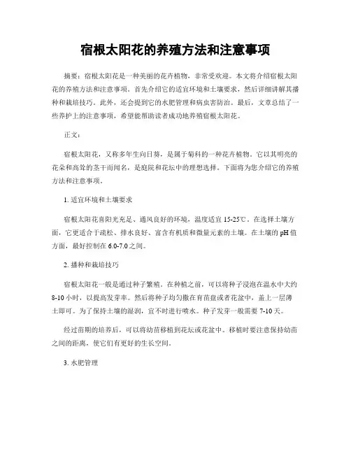 宿根太阳花的养殖方法和注意事项