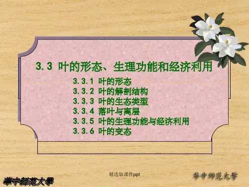 3.3 叶的形态、生理功能和经济利用