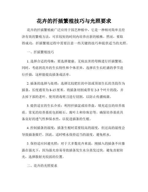 花卉的扦插繁殖技巧与光照要求