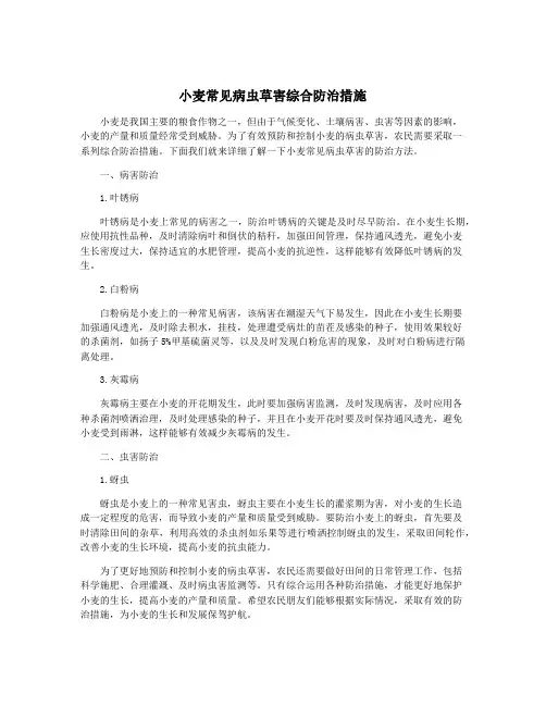 小麦常见病虫草害综合防治措施