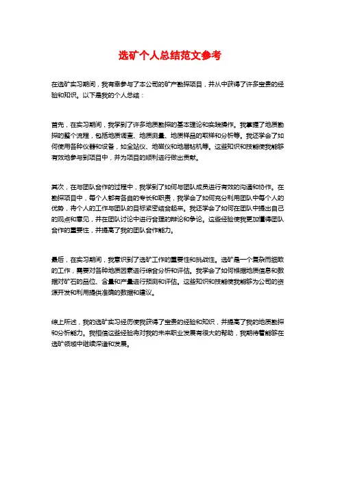 选矿个人总结范文参考
