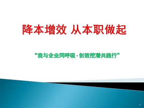 最新降本增效ppt课件