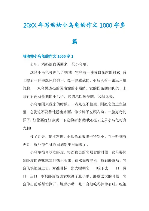 写动物小乌龟的作文1000字多篇