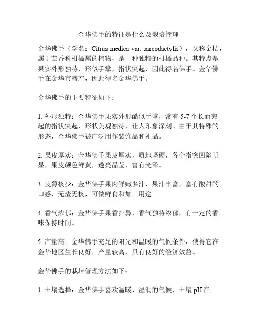 金华佛手的特征是什么及栽培管理
