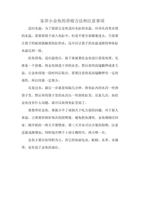 家养小金鱼的养殖方法和注意事项