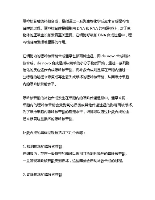 嘌呤核苷酸的补救合成名词解释