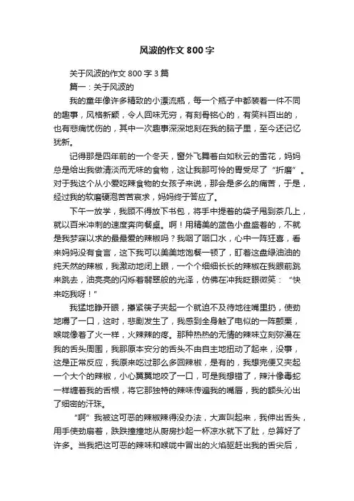 关于风波的作文800字3篇