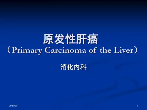 大学课件：医学-原发性肝癌PPT精品课件