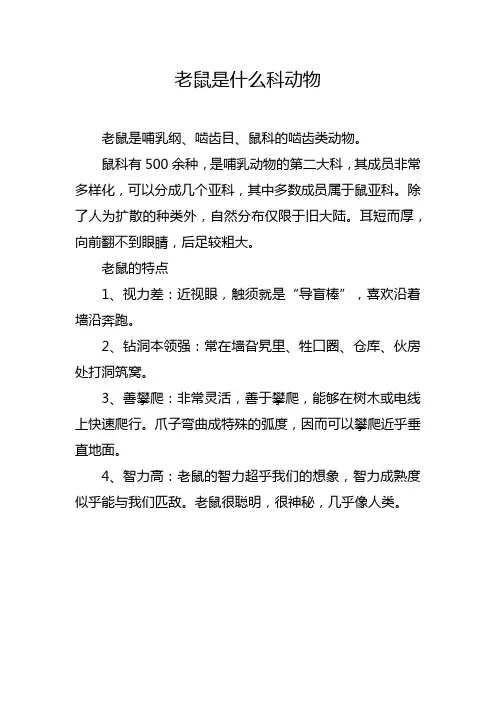 老鼠是什么科动物