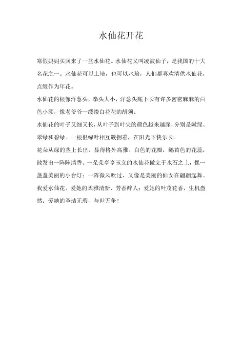 三年级状物水仙花开花