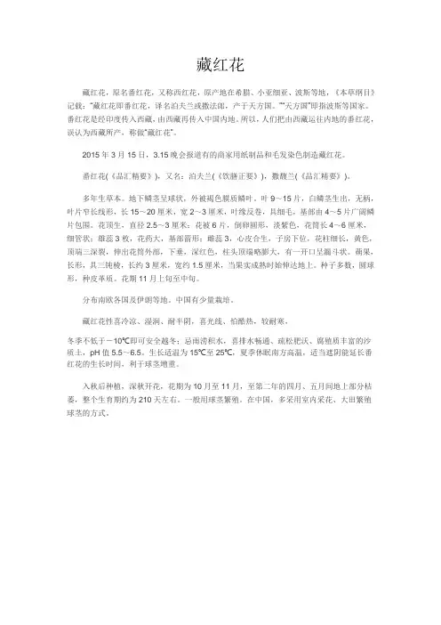 中药饮片藏红花