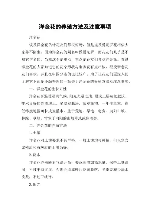 洋金花的养殖方法及注意事项