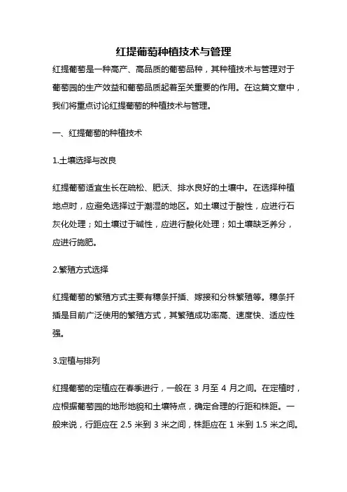 红提葡萄种植技术与管理
