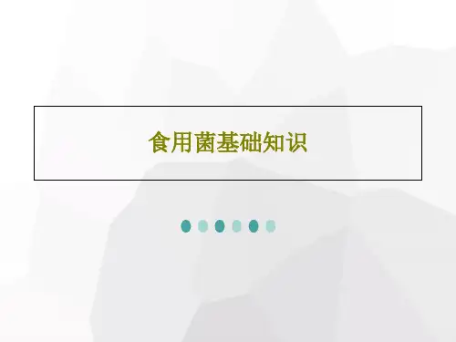 食用菌基础知识93页PPT