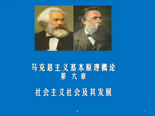 马克思主义基本原理概论第六章社会主义社会及其发展
