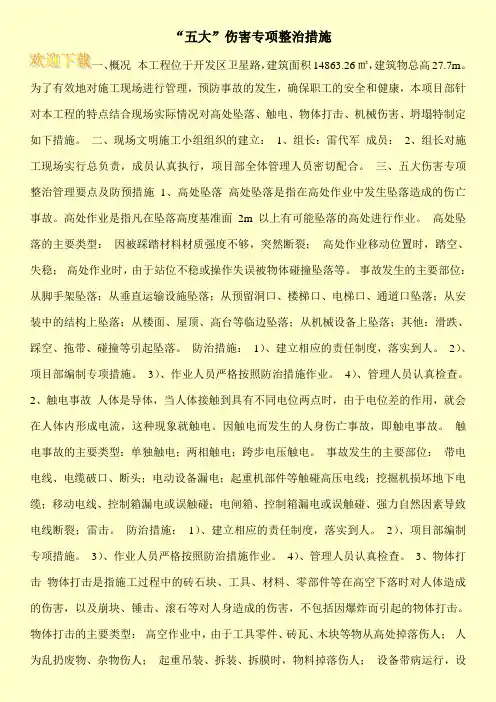  “五大”伤害专项整治措施