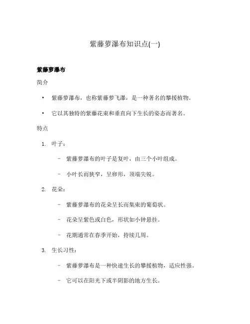 紫藤萝瀑布知识点(一)