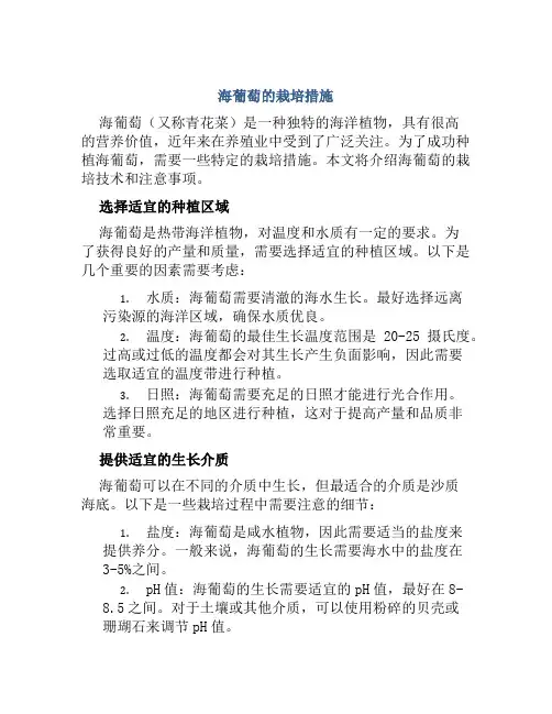 海葡萄的栽培措施