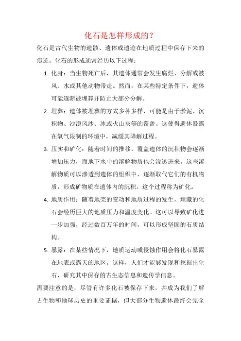 化石是怎样形成的？