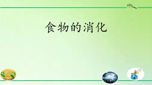 《食物的消化》PPT课件