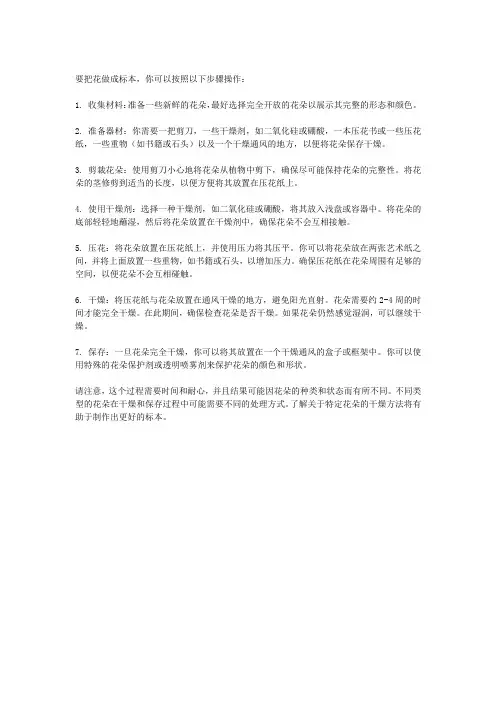 怎么把花做成标本