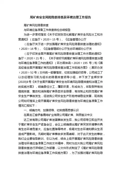 尾矿库安全风险隐患排查及环境治理工作报告
