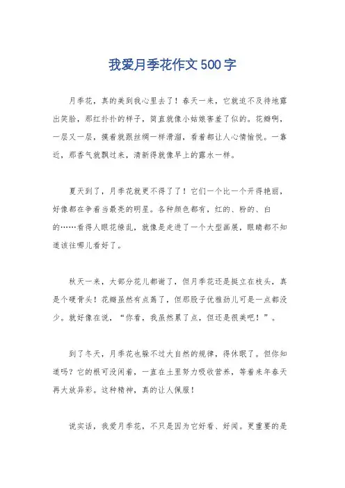 我爱月季花作文500字