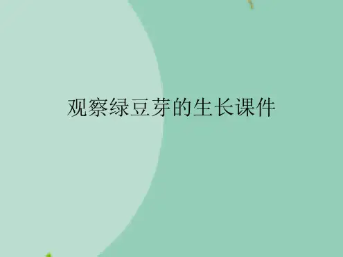 观察绿豆芽的生长课件(“生长”文档)共7张