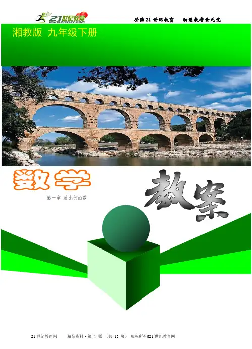 湘教版九年级下册第一章《反比例函数》教案