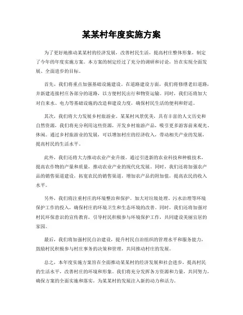 某某村年度实施方案