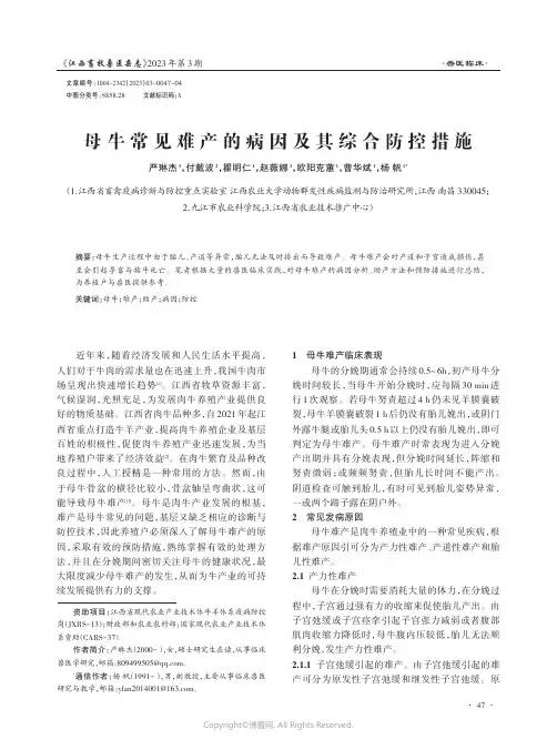 母牛常见难产的病因及其综合防控措施