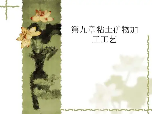 第九章-粘土矿物加工工艺PPT课件