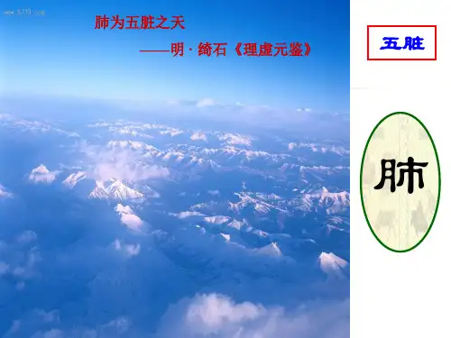 中医基础理论-肺