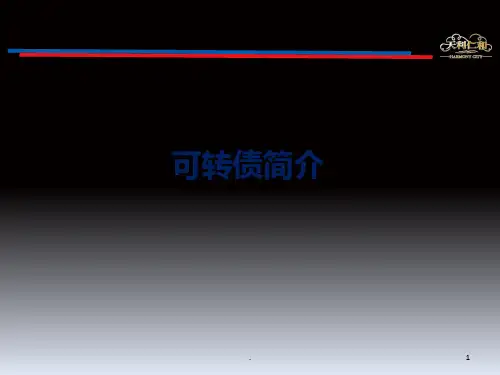 可转债简介PPT课件