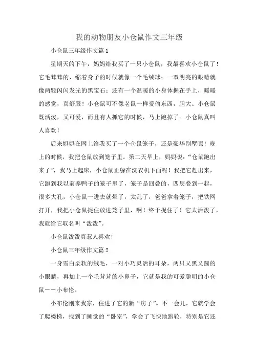 我的动物朋友小仓鼠作文三年级