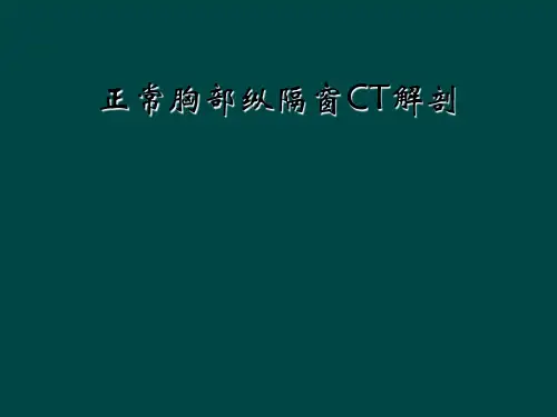 正常胸部纵隔窗CT解剖