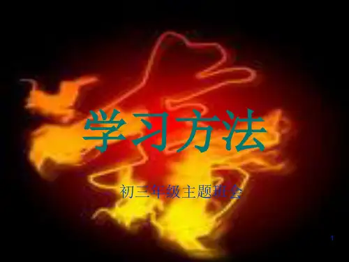 学习方法ppt课件