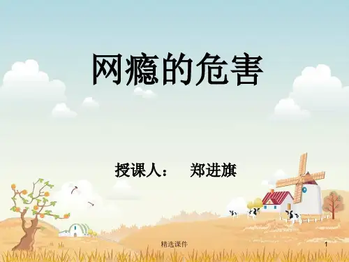 《网瘾的危害》PPT课件