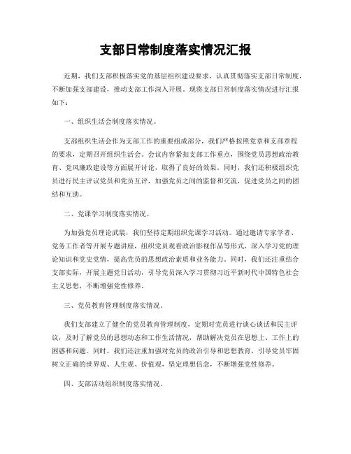 支部日常制度落实情况汇报