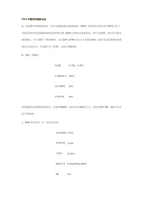 RNA甲醛变性凝胶电泳