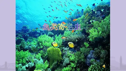 鱼类寄生虫