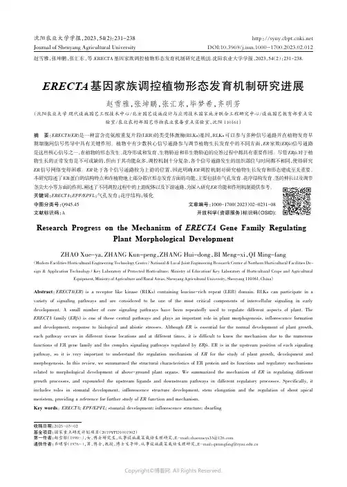 ERECTA基因家族调控植物形态发育机制研究进展