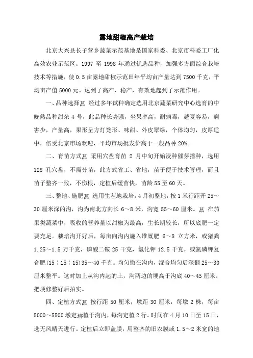 露地甜椒高产栽培