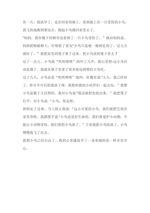 放生小鸟心情的作文
