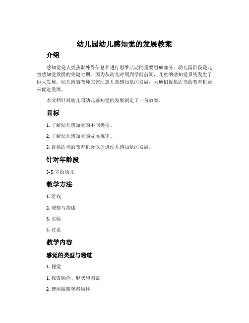 幼儿园幼儿感知觉的发展教案