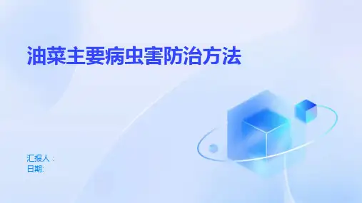 油菜主要病虫害防治方法