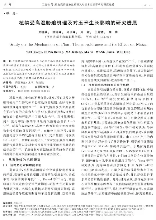 植物受高温胁迫机理及对玉米生长影响的研究进展