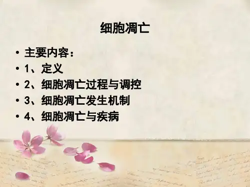 细胞凋亡PPT教学课件